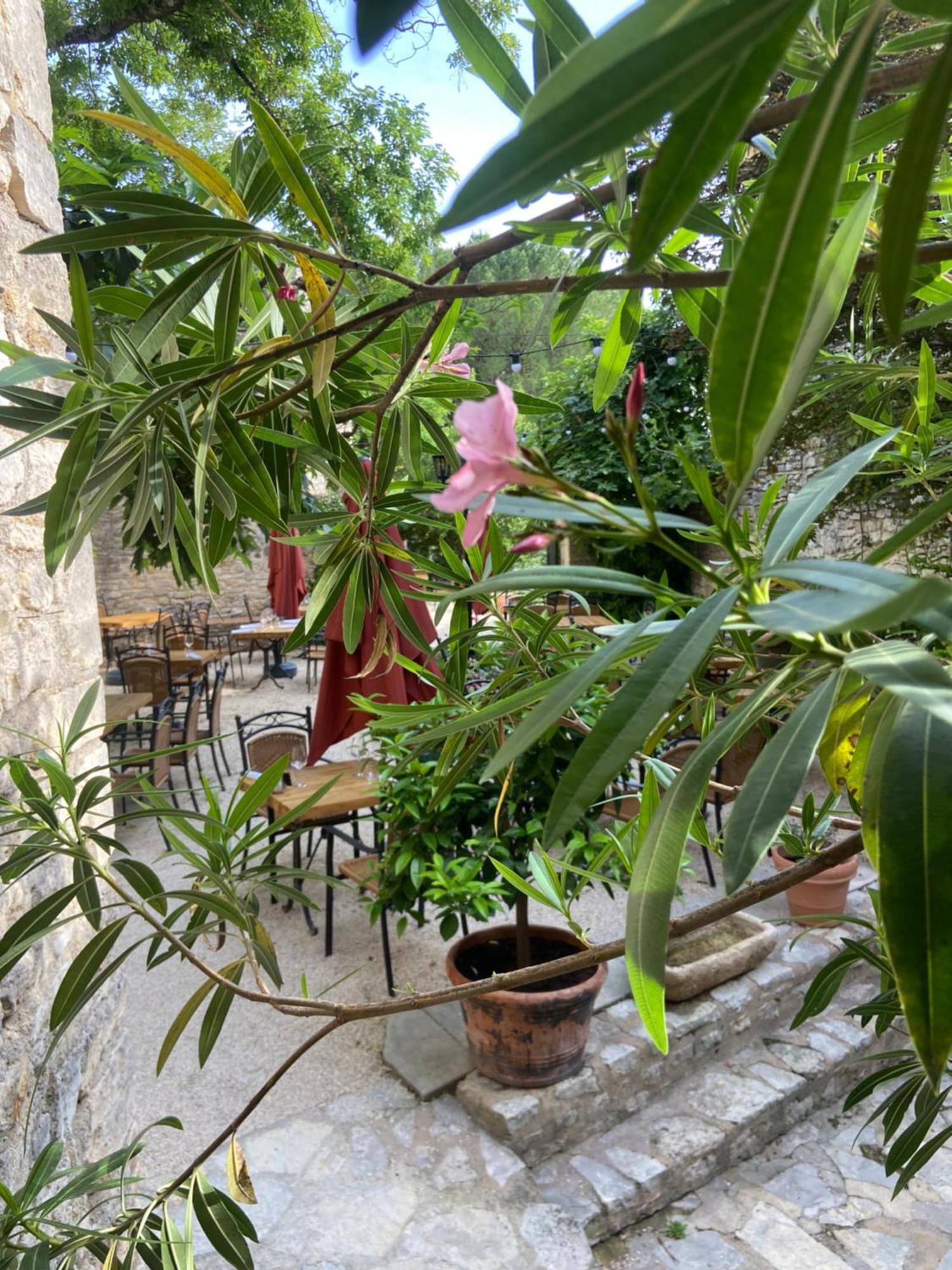 Montclus  Hotel Restaurant Clos Des Sullys מראה חיצוני תמונה